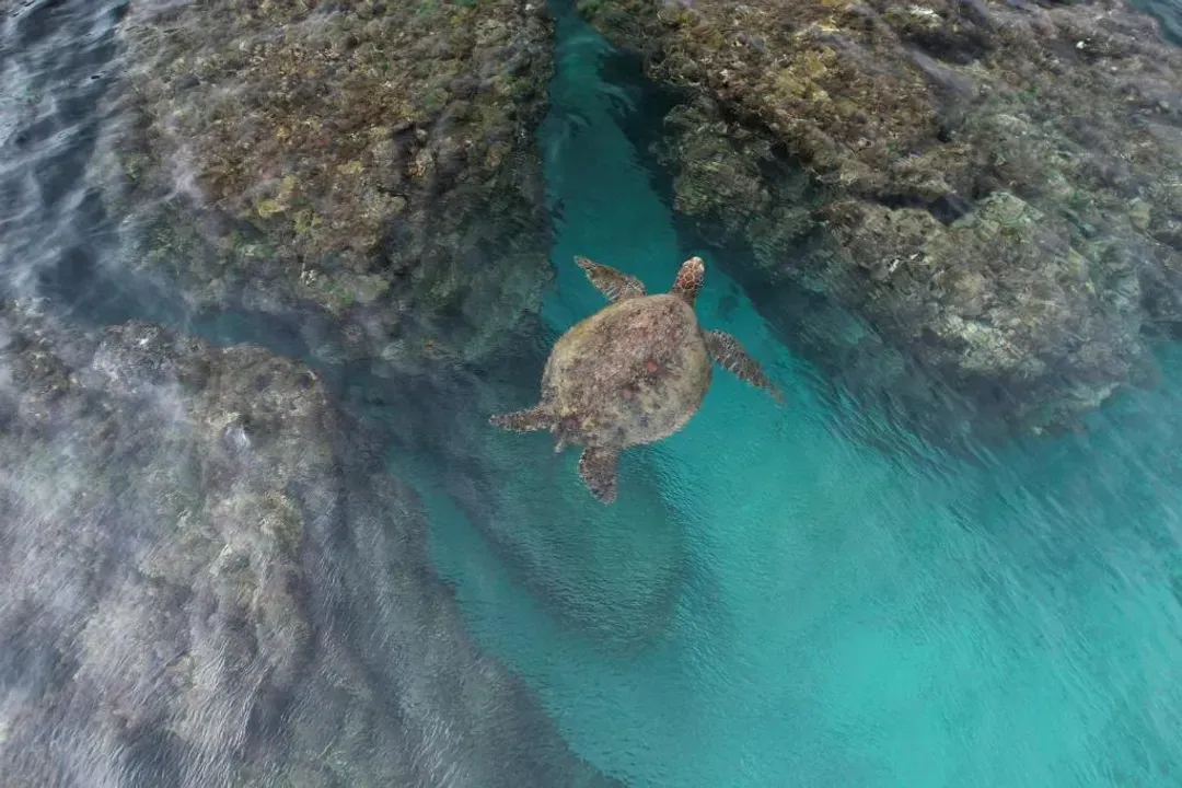 小琉球 白海民宿