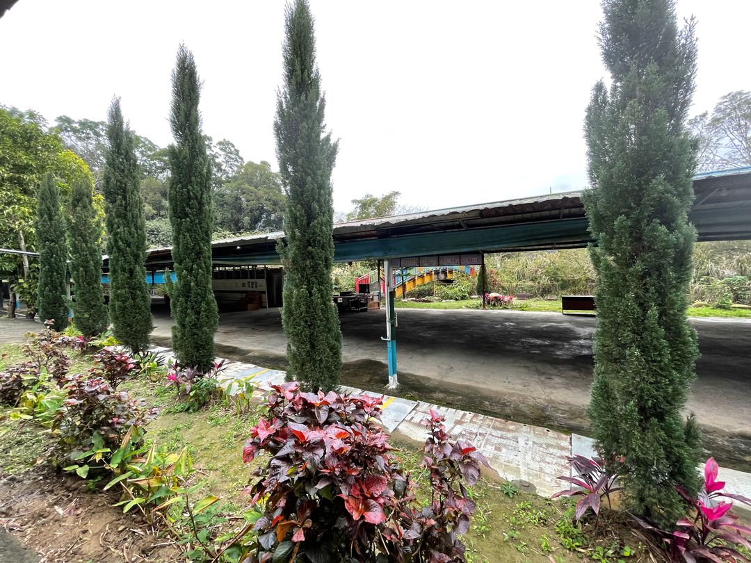 依杉林露營區｜彩虹雨棚營位！-15