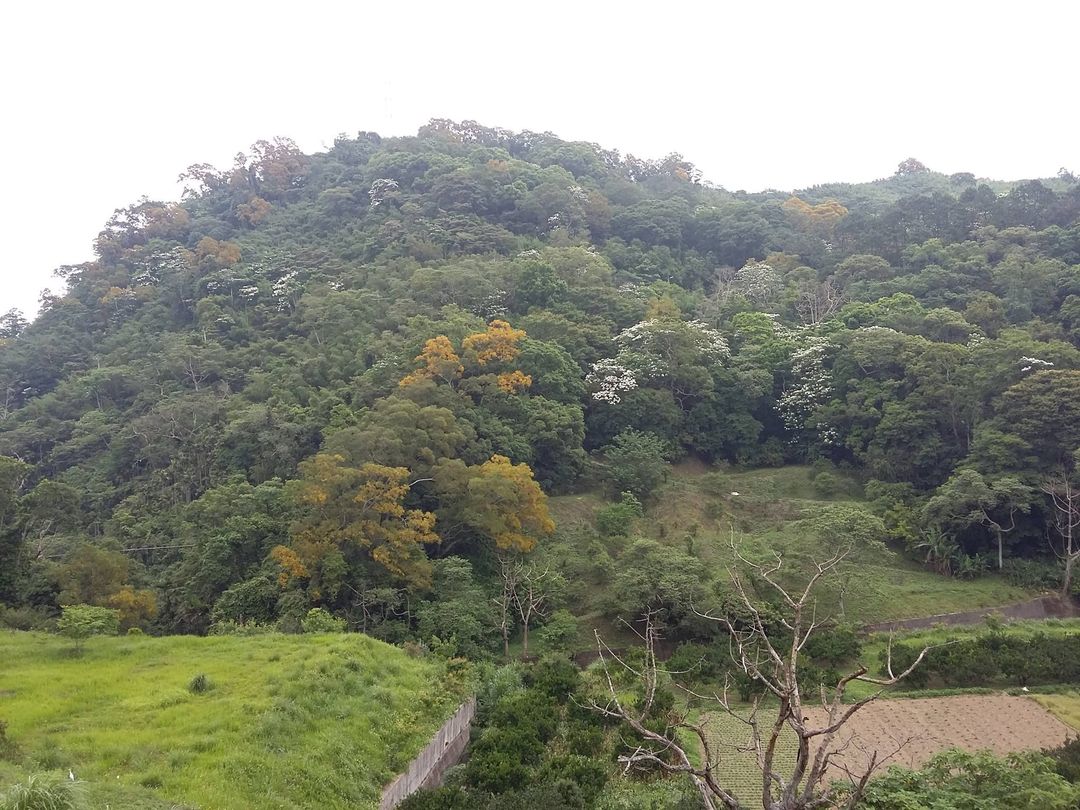 Yishanlin Camping Area