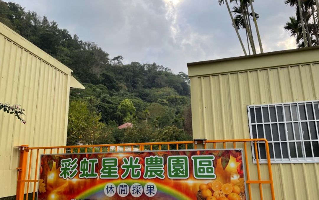 彩虹星光農園露營區｜冬季採果體驗、唯美落羽松步道、親子草地營位