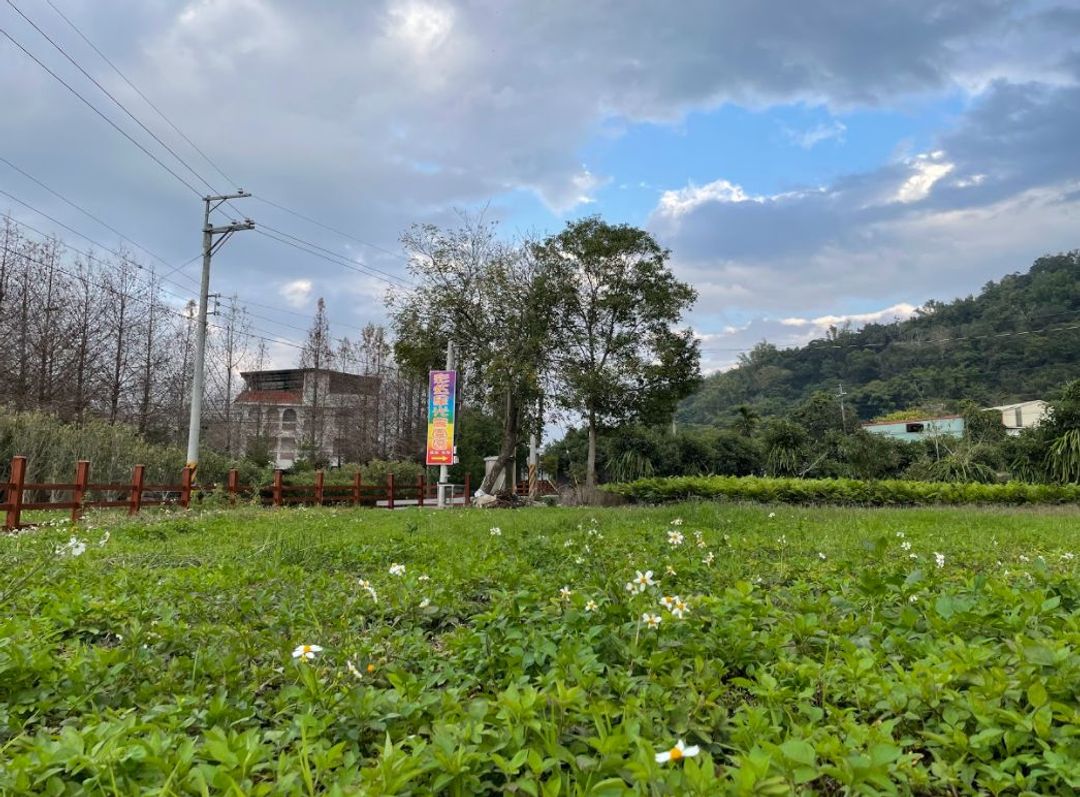 彩虹星光農園露營區｜冬季採果體驗、唯美落羽松步道、親子草地營位