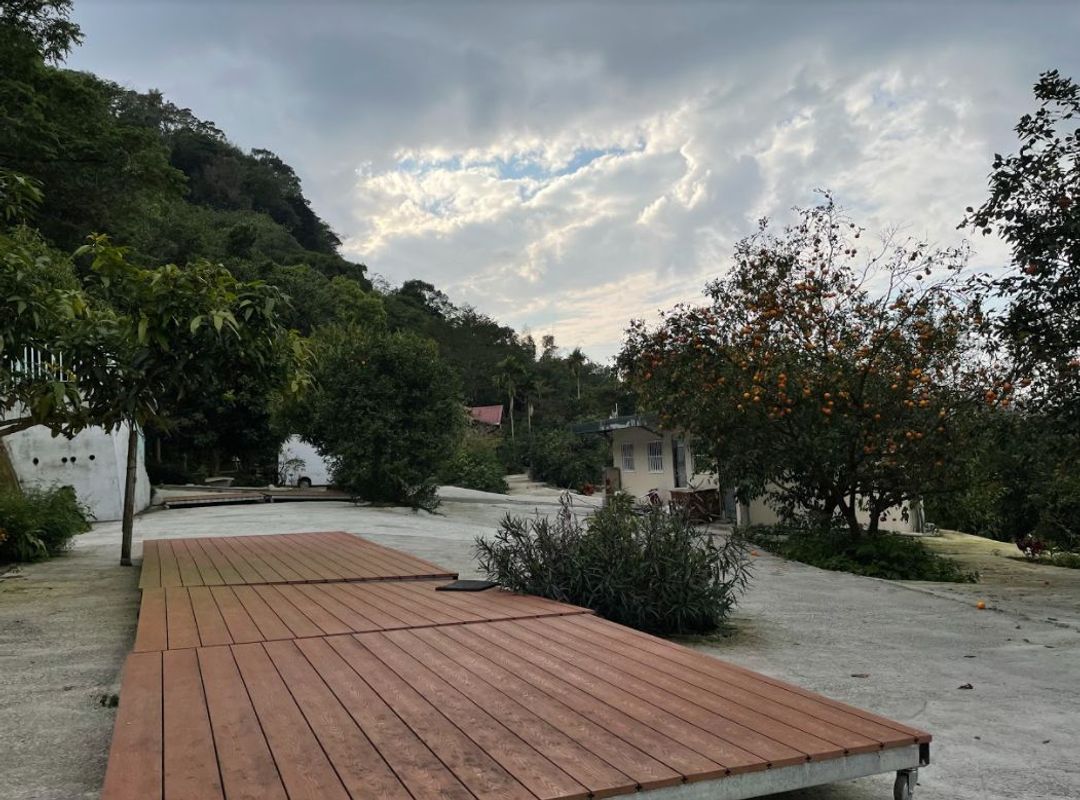 彩虹星光農園露營區｜冬季採果體驗、唯美落羽松步道、親子草地營位