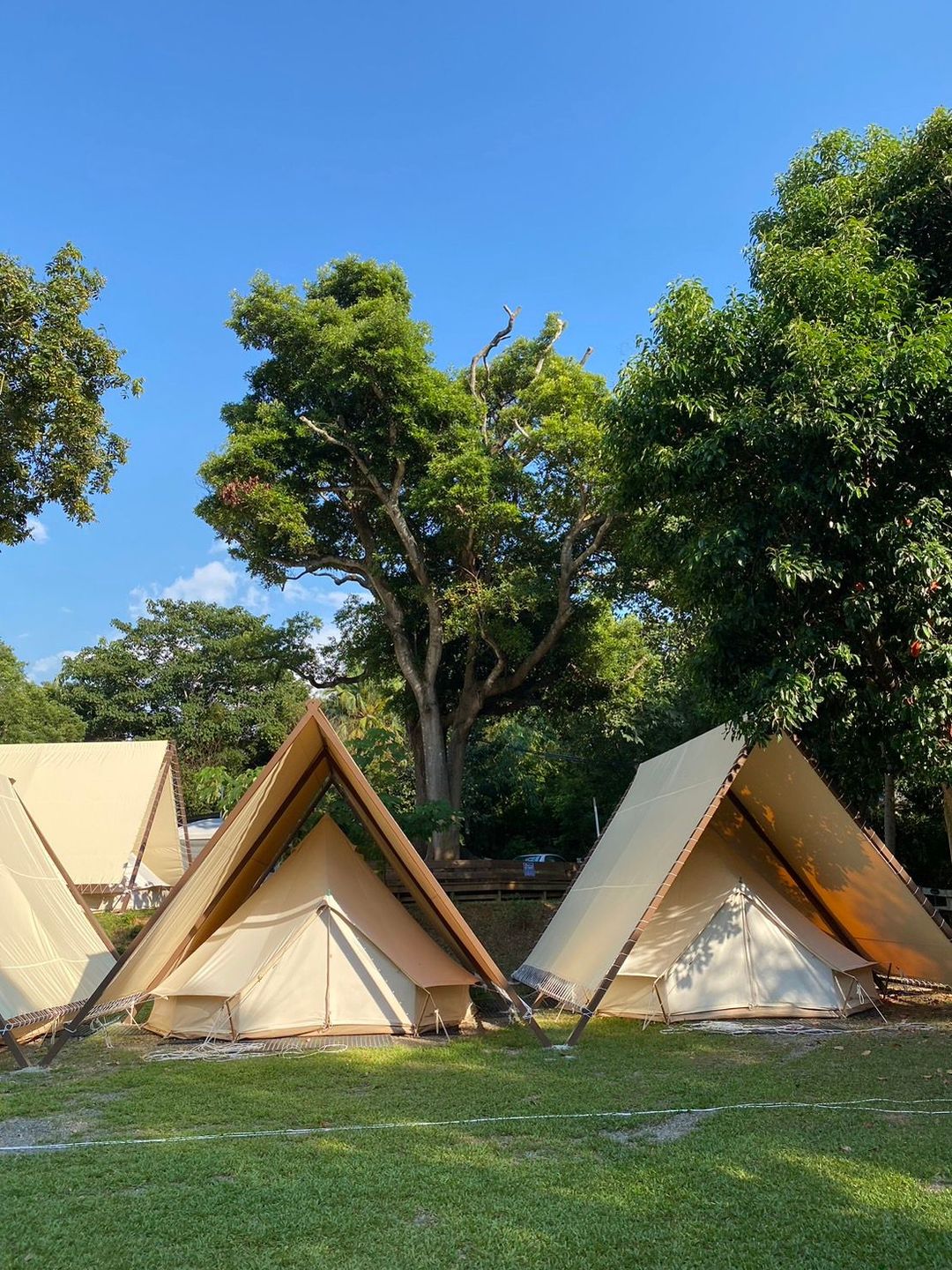 樹語星晴|可加購海陸頂級烤肉、親子友善-5