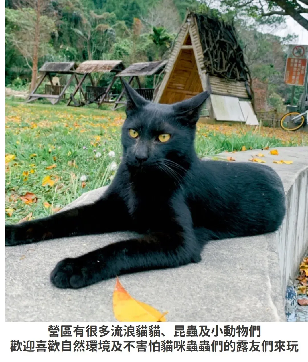 寵物友善園區