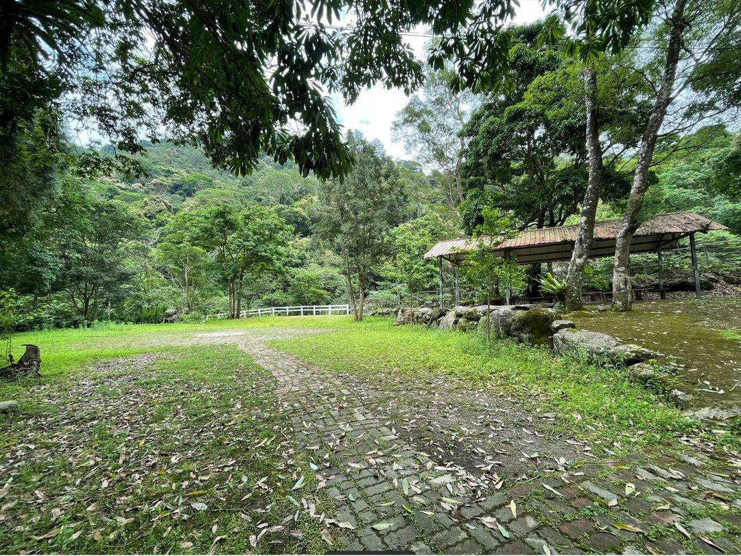 Nanyang62