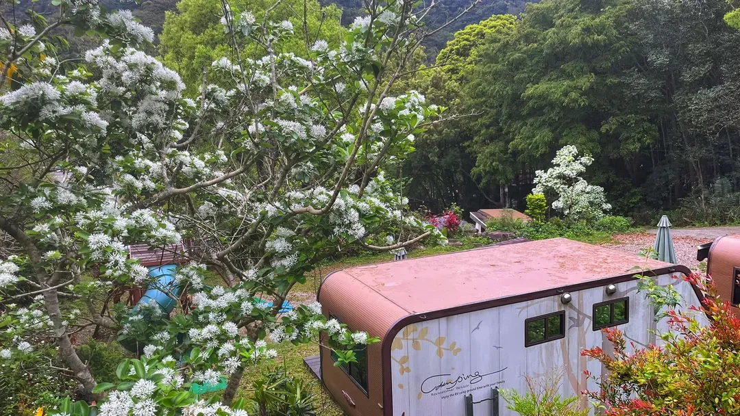 拾階莊園｜豪華露營車、小木屋、近內灣老街