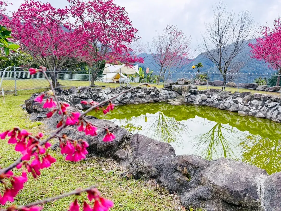 樂悠悠露營區|獨家6折起!神殿帳、觀星推薦、寵物友善營區-18