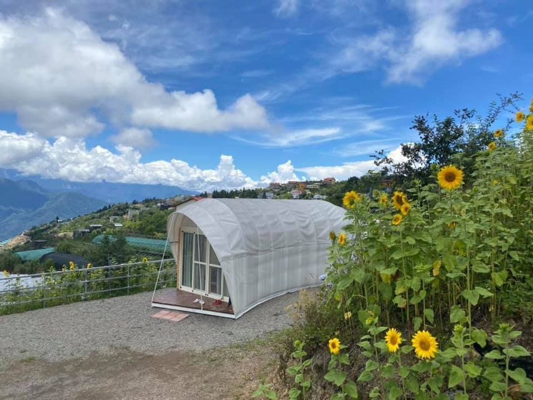 花鳥蟲鳴高山露營區｜近清境、高山雲海美景輕鬆享受露營的美好假期!