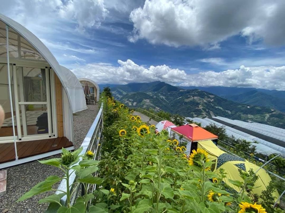 花鳥蟲鳴高山露營區｜近清境、高山雲海美景輕鬆享受露營的美好假期!