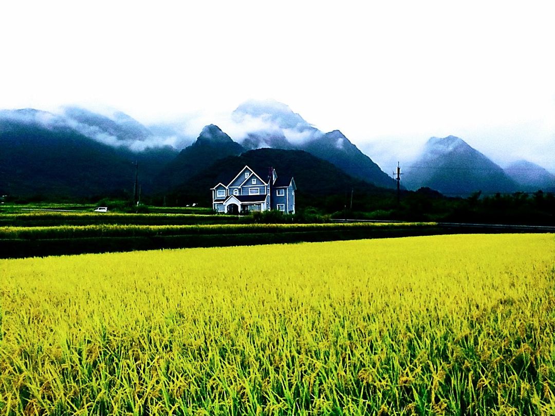 King Kong Avenue Homestay