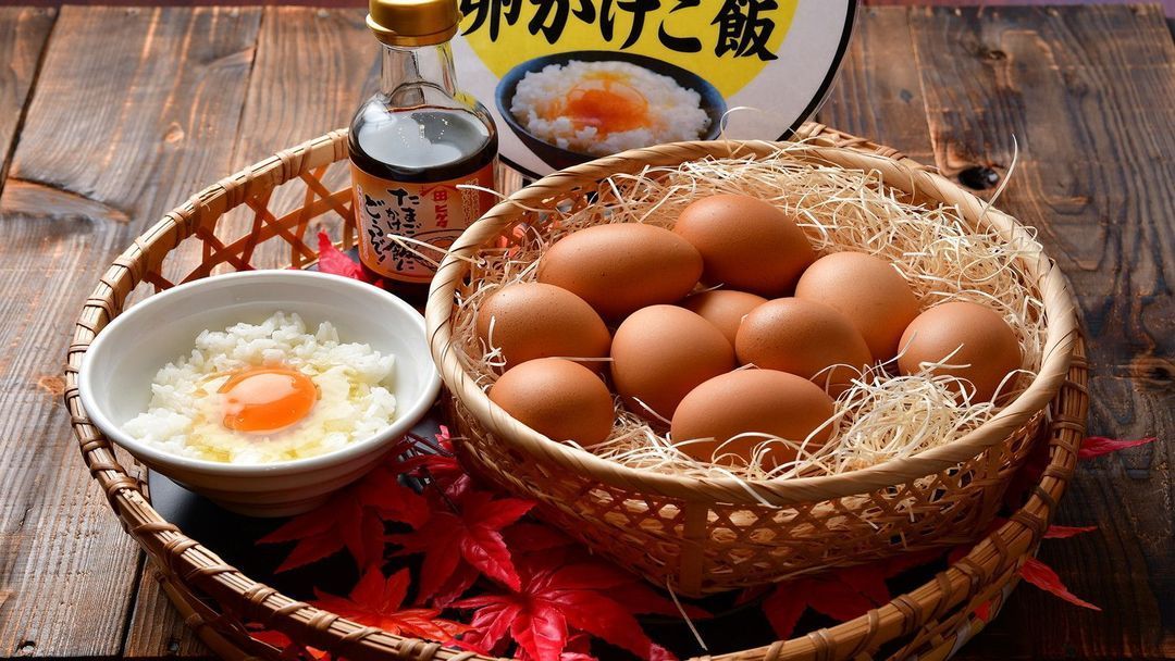 The BREAKFAST HOTEL福冈中洲｜中洲川端站步行2分