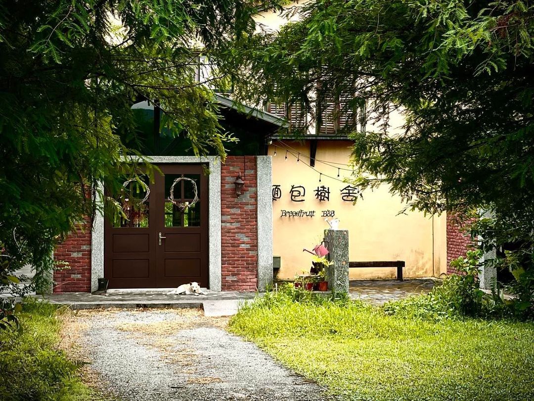 麵包樹舍-1