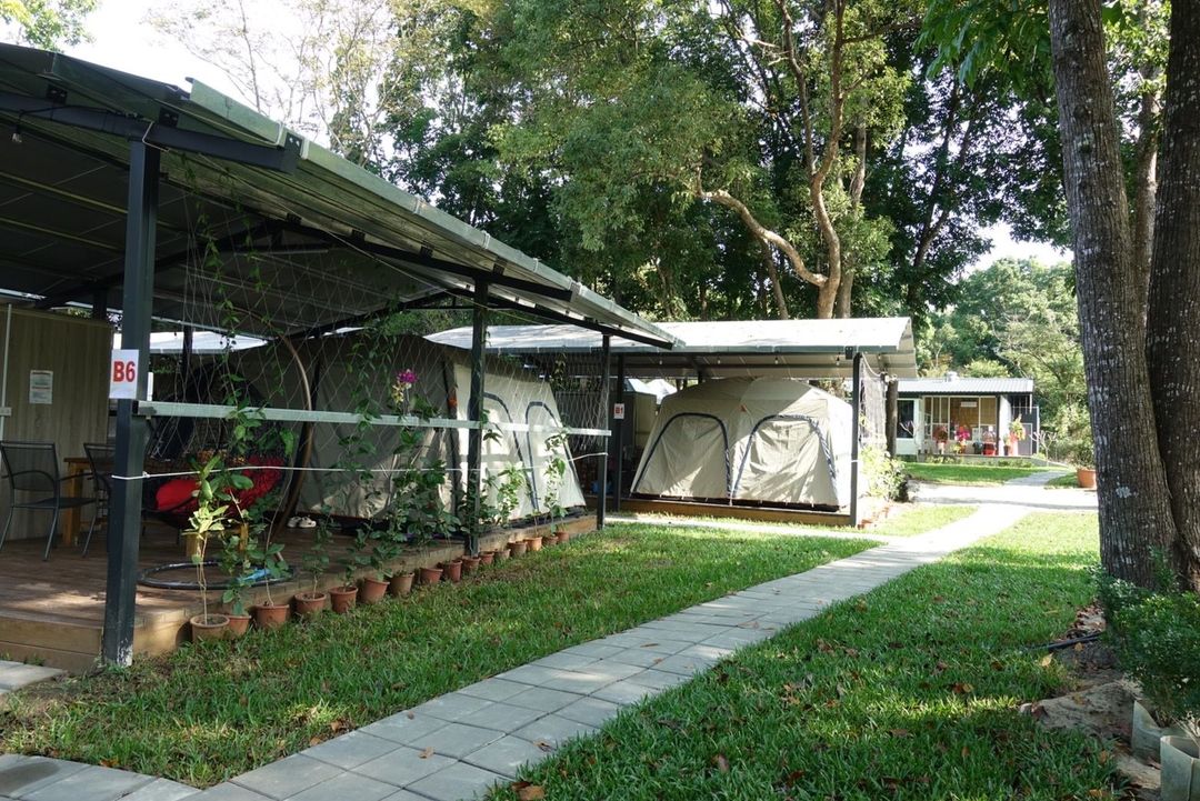 溫德莊園豪華露營｜獨家優惠85折起！一泊二食再送泡湯、專屬私人衛浴