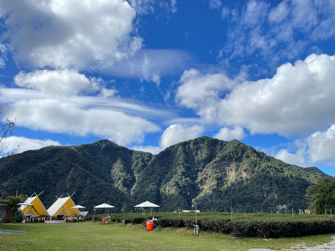 春露茶園｜獨家8折起！高海拔、神殿帳、親子露營-8