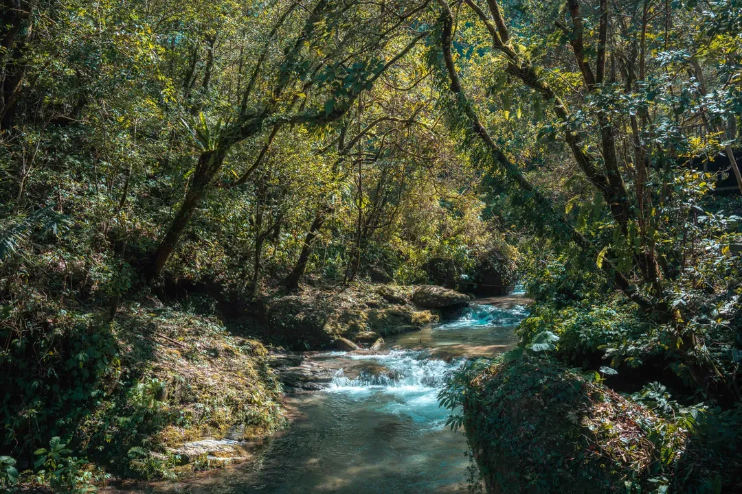 飛鳥恰恰 Amazing Experience
