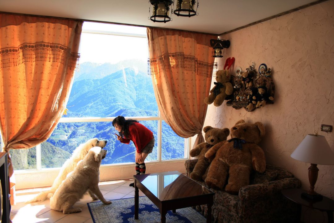 칭징 화이트 베어 하우스 베드 앤 브렉퍼스트 (Chingjing White Bear House Bed and Breakfast)