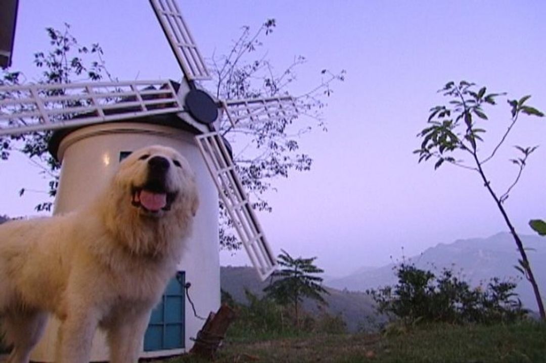 칭징 화이트 베어 하우스 베드 앤 브렉퍼스트 (Chingjing White Bear House Bed and Breakfast)