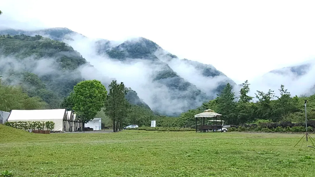 薄霧輕輕飄渺,為大草原披上一層神秘的面紗