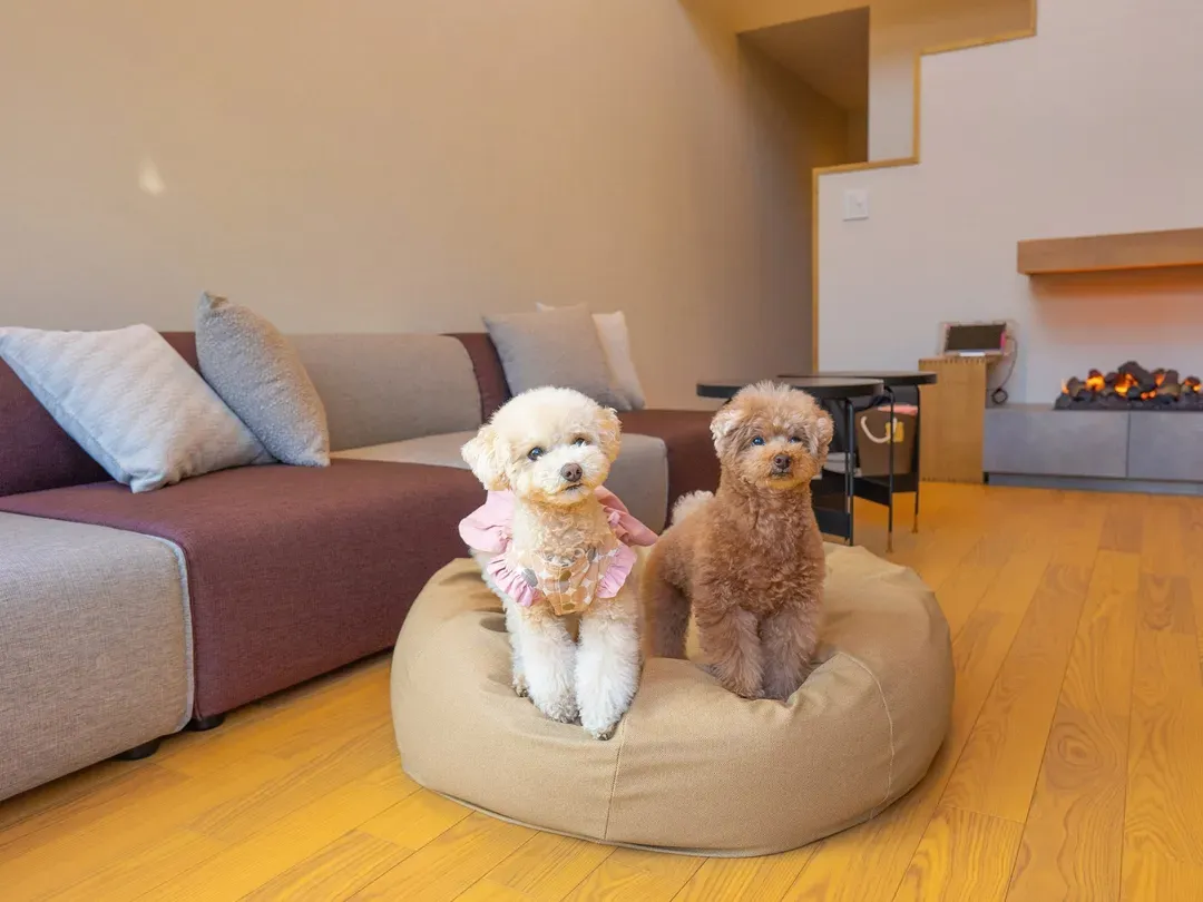 Rakuten STAY VILLA Yatsugatake