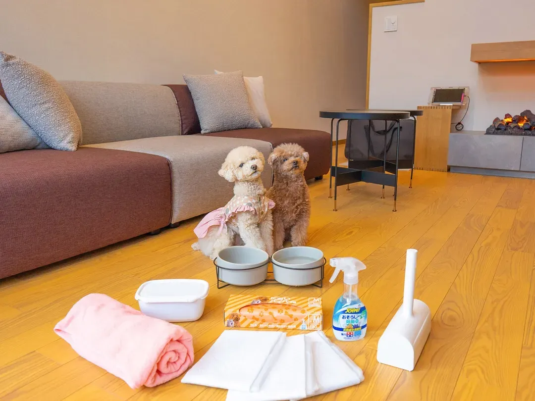 Rakuten STAY VILLA Yatsugatake