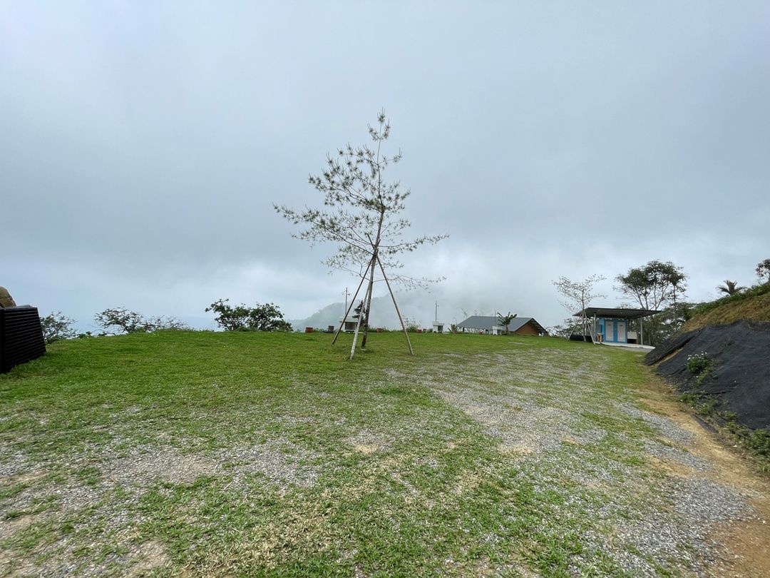 廿十八路露營區｜高海拔雲海秘境！超大草皮、觀星看日出首選-7