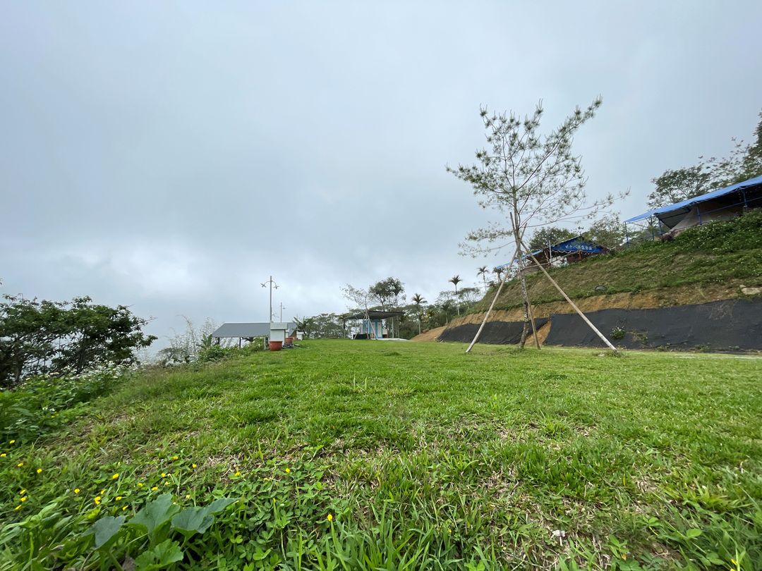 廿十八路露營區｜高海拔雲海秘境！超大草皮、觀星看日出首選