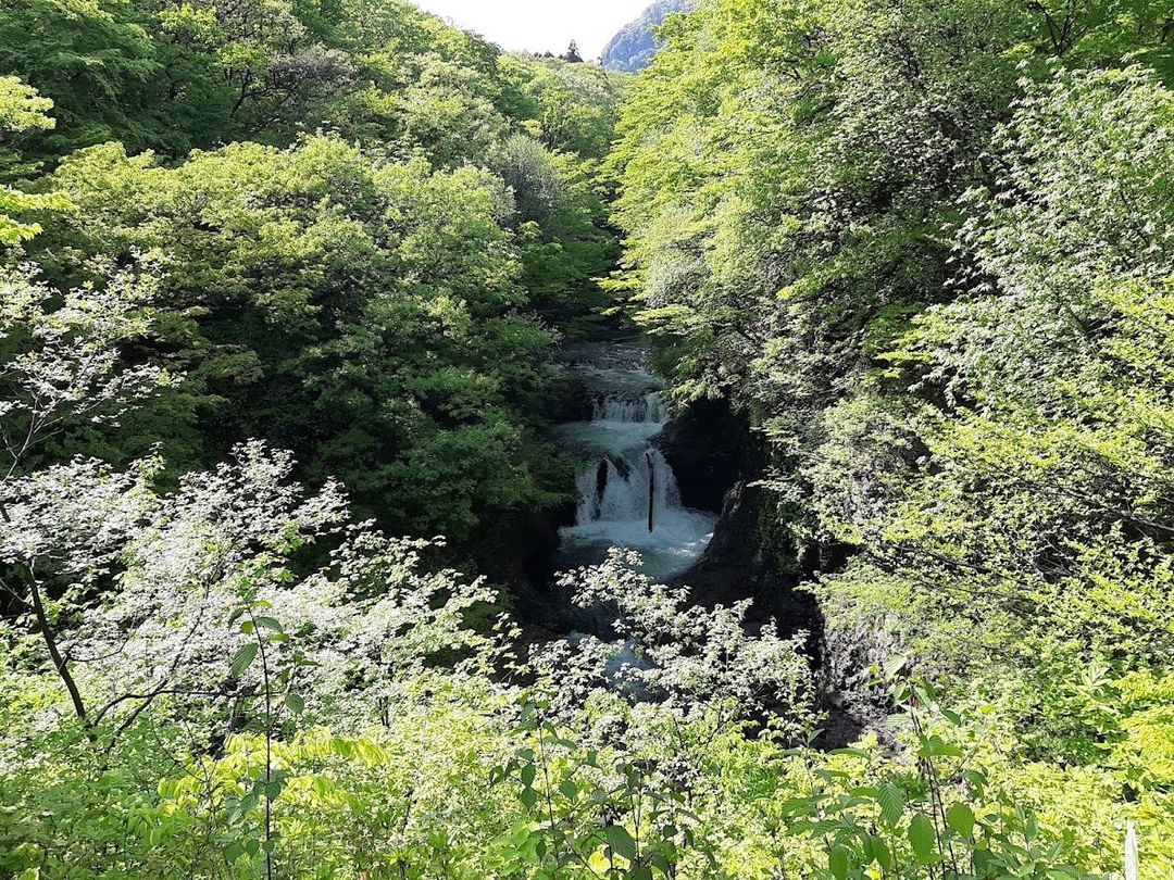 鳳凰の滝