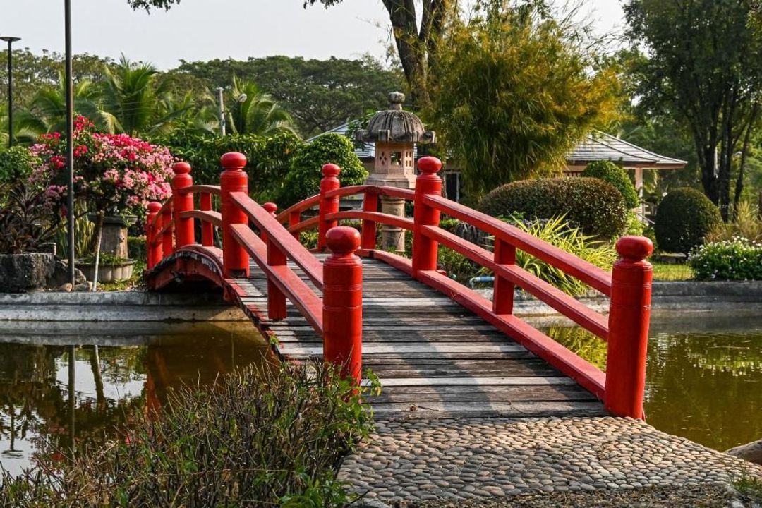 Suanphung 盆景村 (Suanphung Bonsai Village)