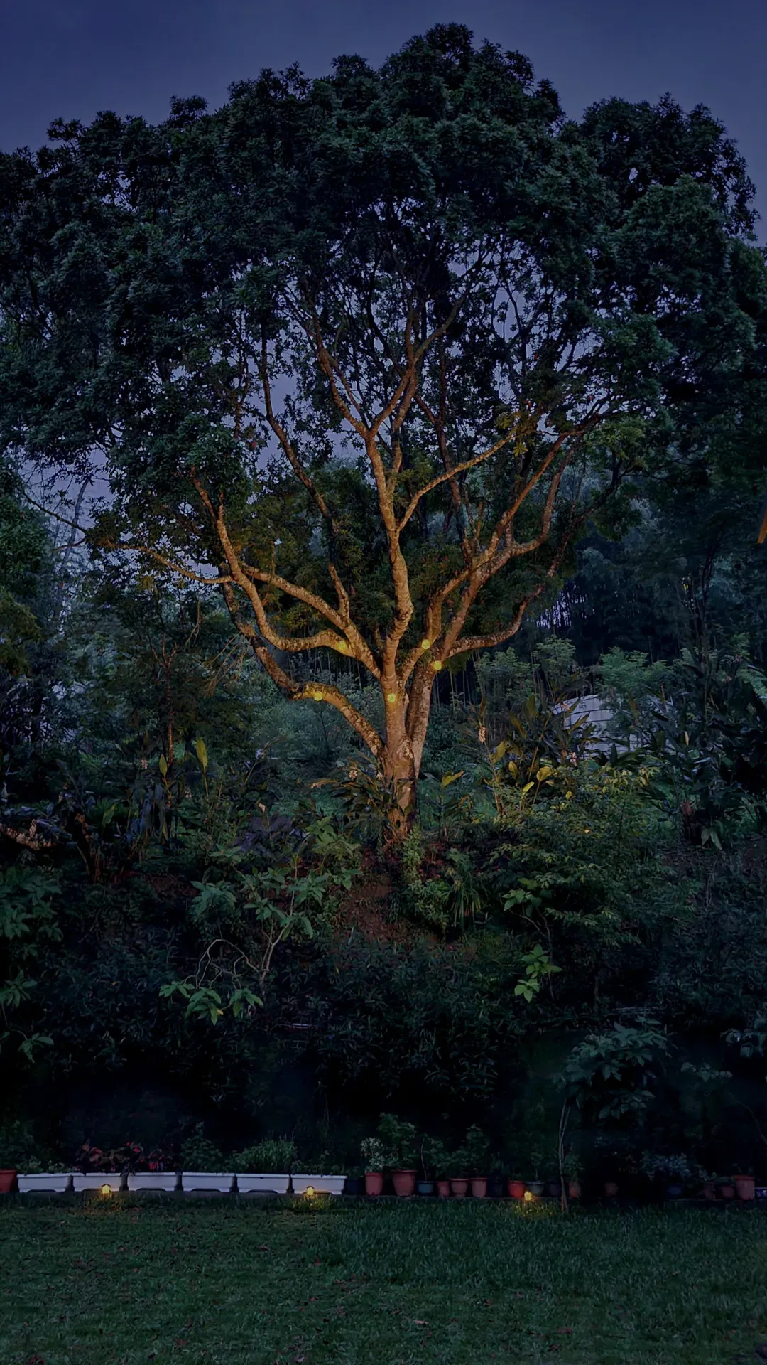 山林间－露营.旅居 | 原住民部落、生活机能便利