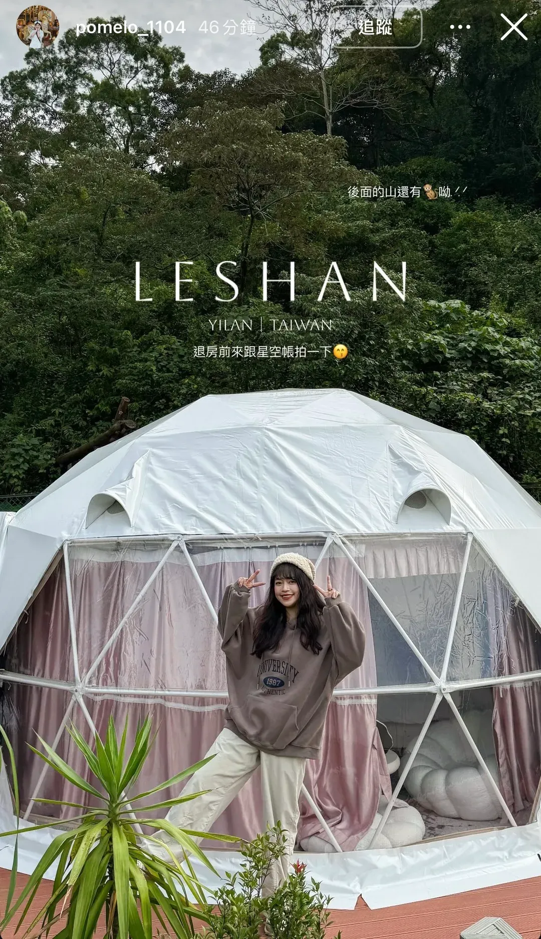 leshan ring tea