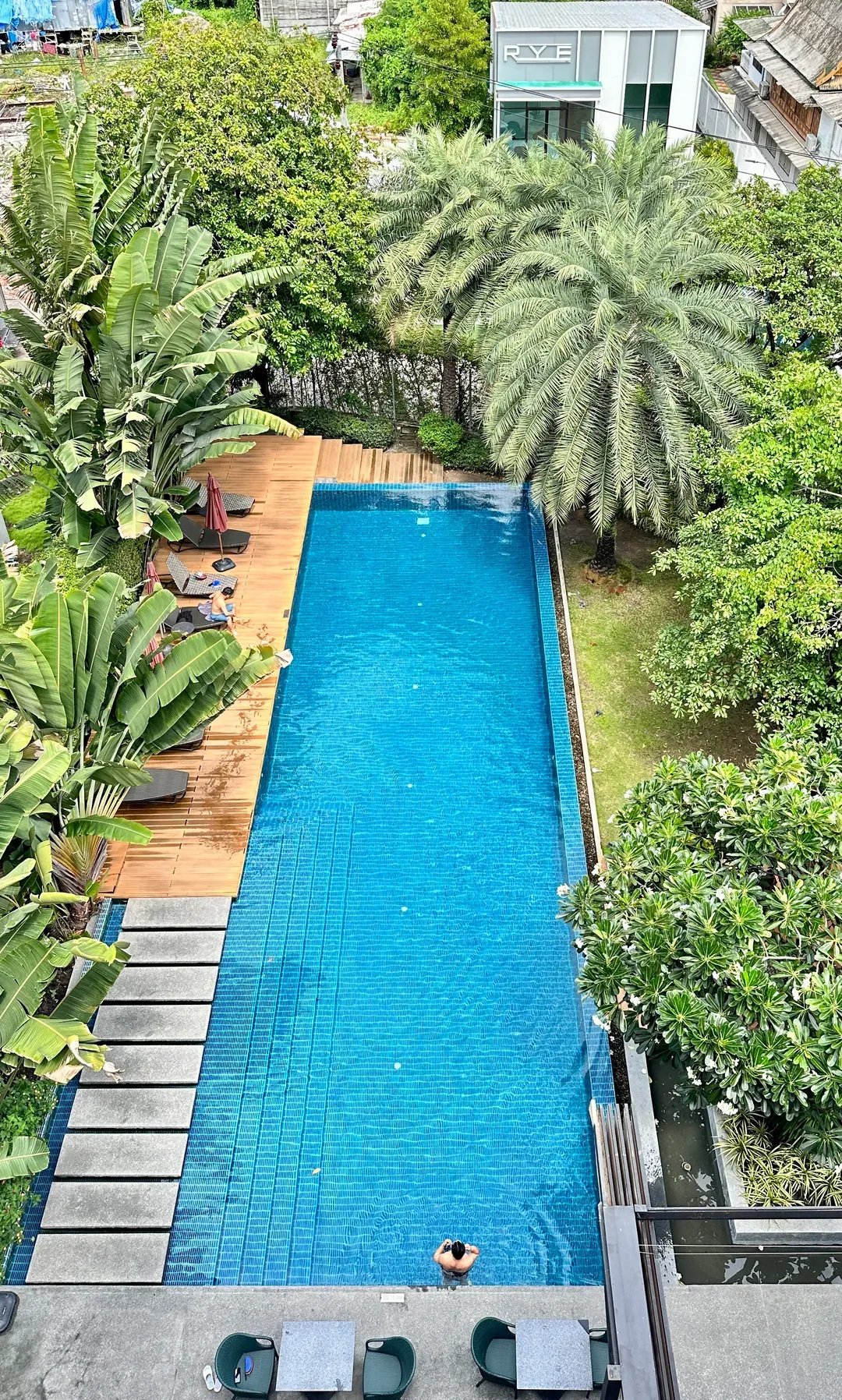 銀色棕櫚渡假村 (The Silver Palm Wellness Resort)