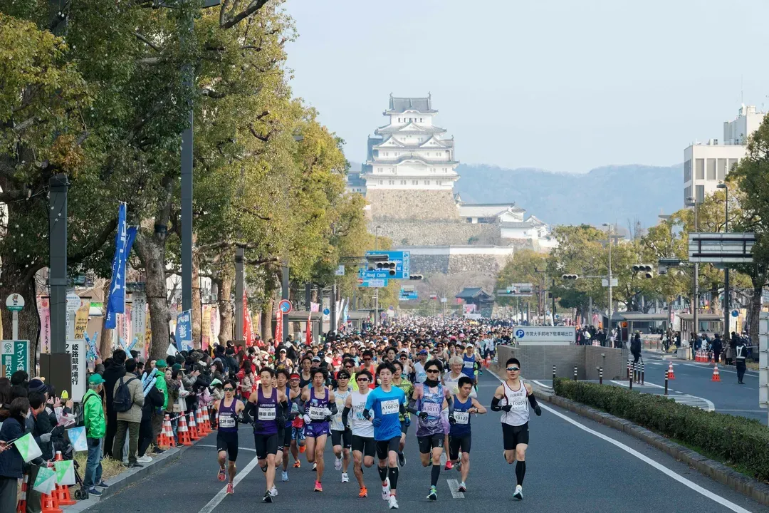 【2026世界遺產姬路城馬拉松】參賽權＋超值精選2晚住宿-9