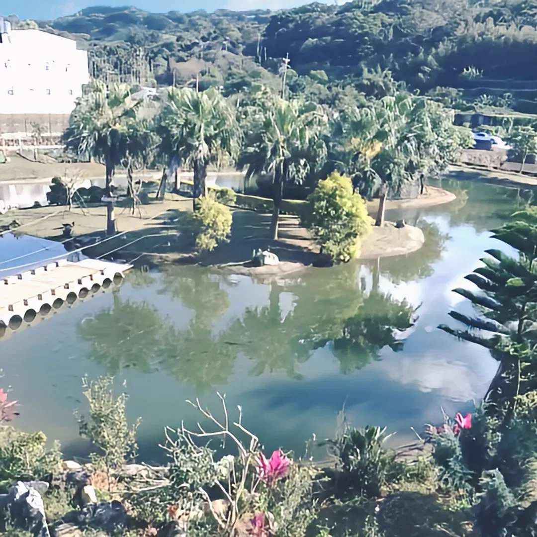Cha Ye Li-Mountain Camping｜Lazy Camping, Shrine Tent