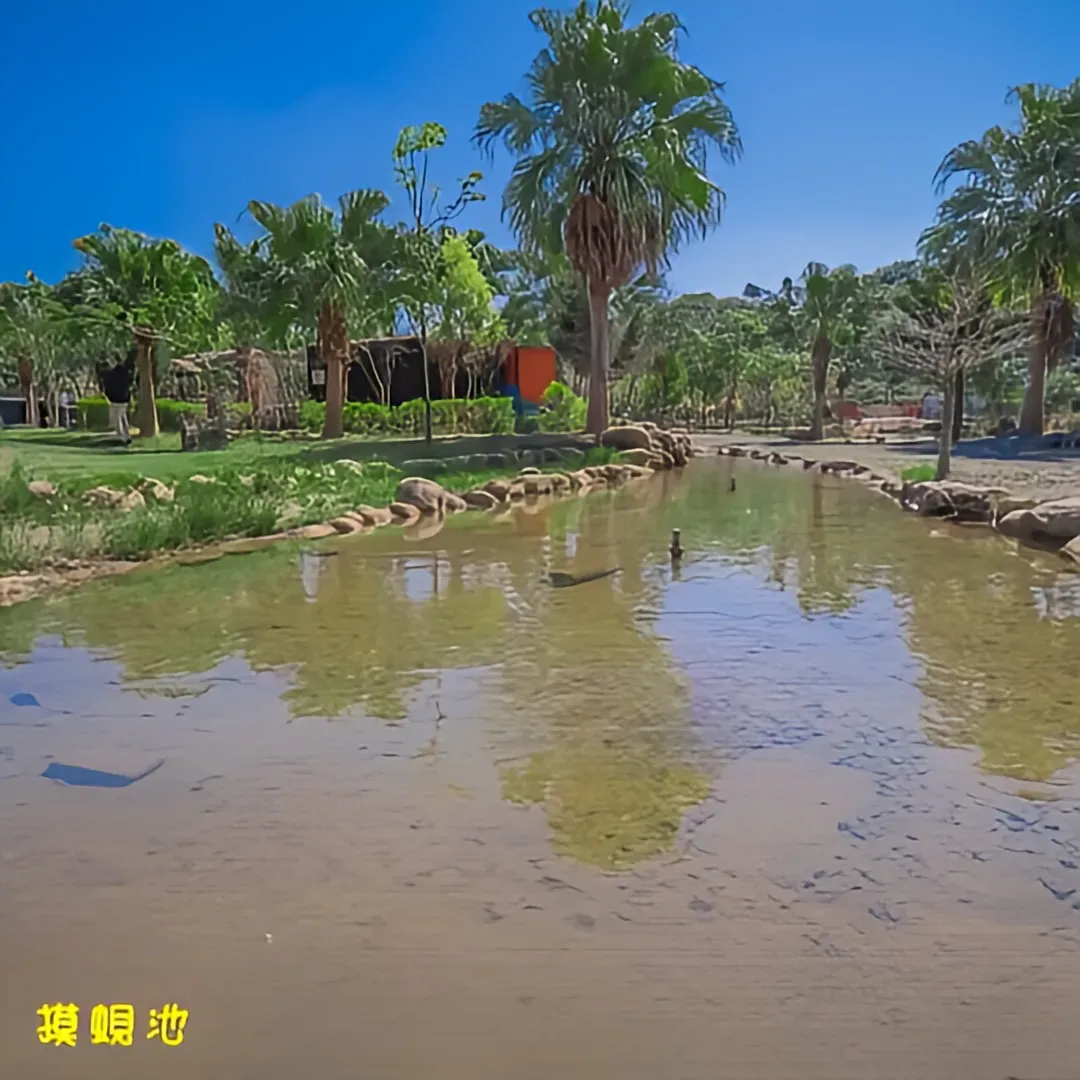 Cha Ye Li-Mountain Camping｜Lazy Camping, Shrine Tent