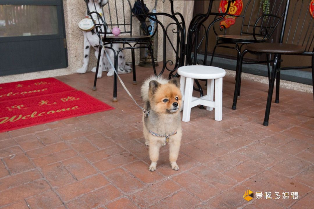 Happiness is here in Hualien | Private rooms available | Pet friendly | Near Hualien Railway Station
