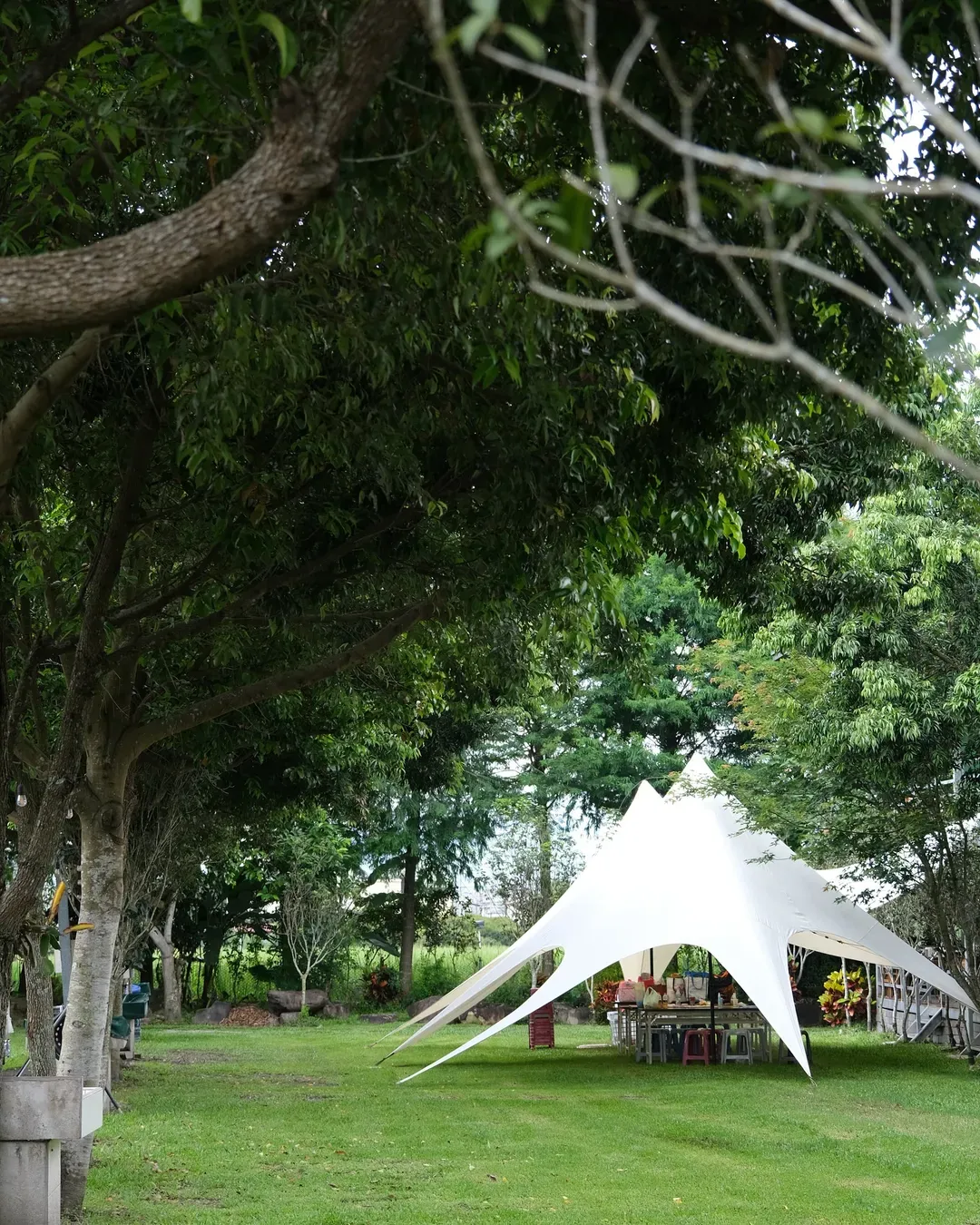 Puli Osmanthus Garden Art Ecological Camp-10