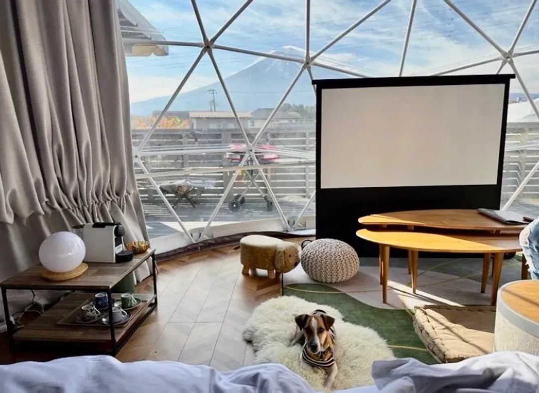 Nekoana Glamping-11