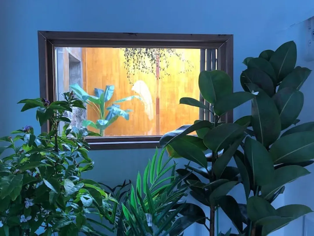 美英小屋｜近萬丈窟-12