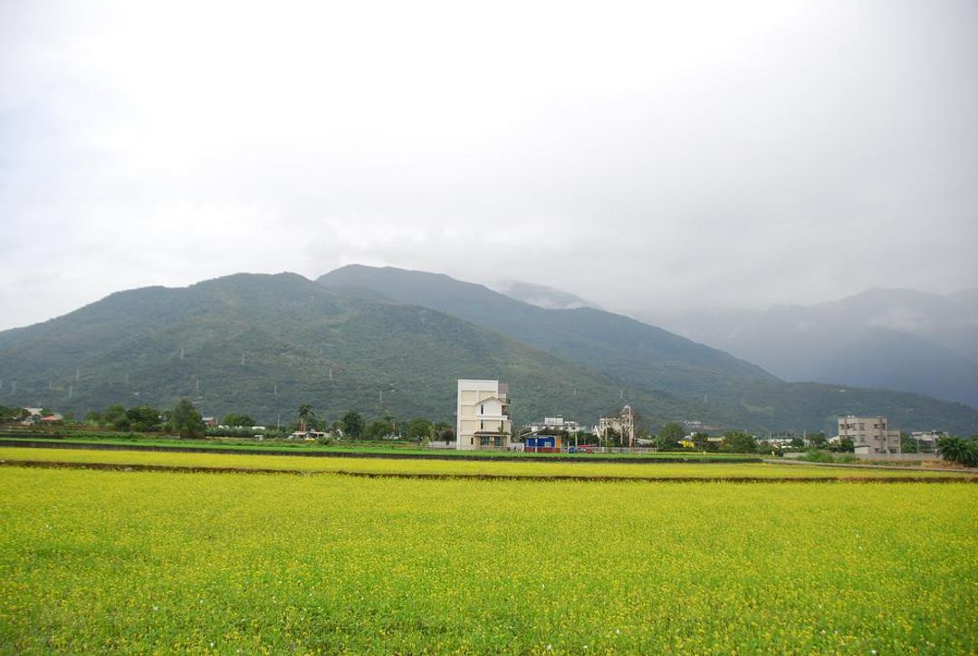 Dao Xiang Yuan Bed and Breakfast