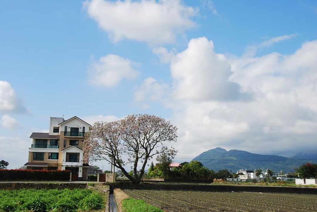 Dao Xiang Yuan Bed and Breakfast