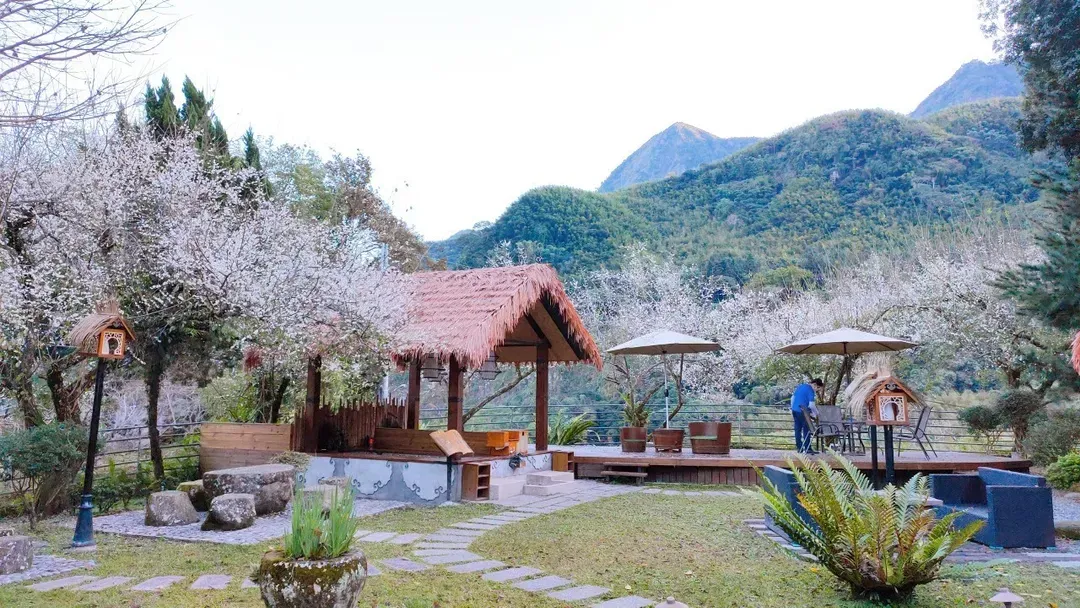 庭園