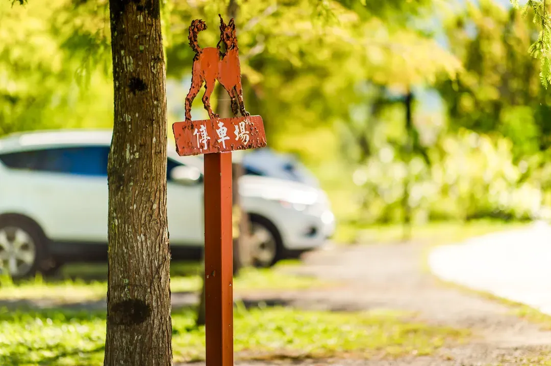 花蓮 曠野咖啡莊園-19