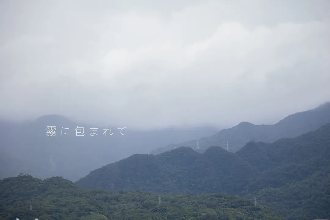 山杉青旅｜全新开幕