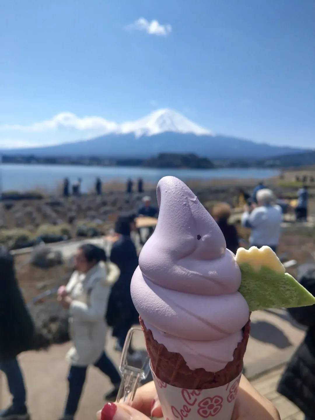 【富士山經典一日遊】大石公園．富士五合目．忍野八海｜中英文領隊｜東京/新宿出發-13