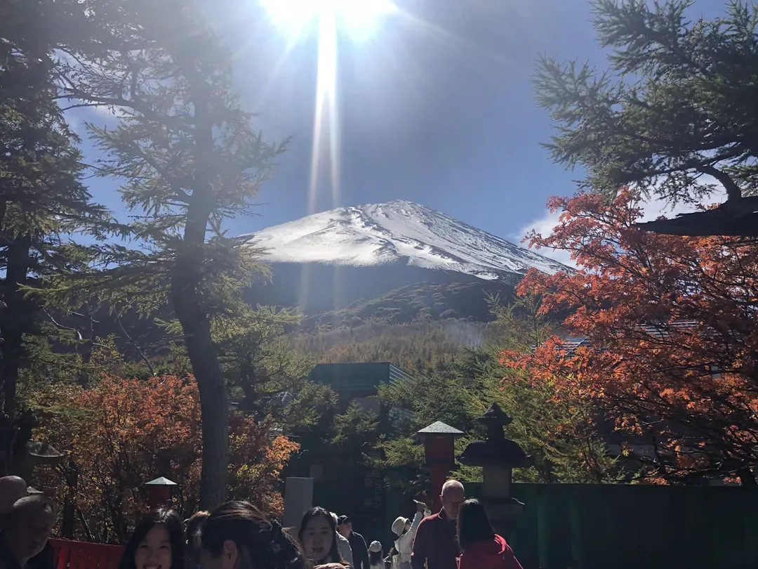 【富士山經典一日遊】大石公園．富士五合目．忍野八海｜中英文領隊｜東京/新宿出發-9