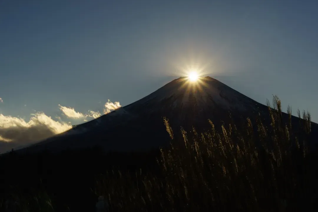 【富士山經典一日遊】大石公園．富士五合目．忍野八海｜中英文領隊｜東京/新宿出發-8