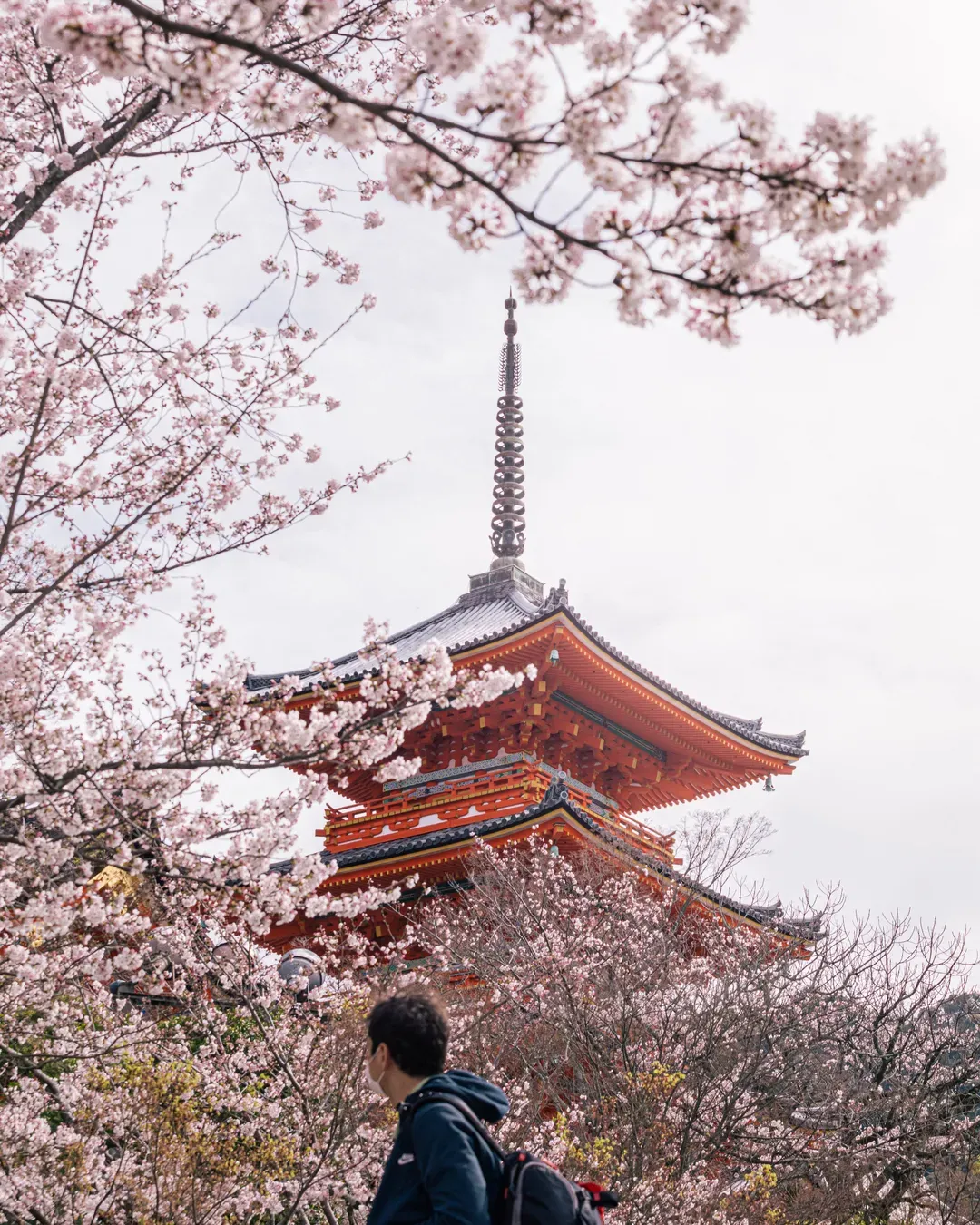 【京都半日遊】<AW>京都・金閣寺+銀閣寺+清水寺 定期觀光巴士半日遊｜含中・英・韓語音導覽-14