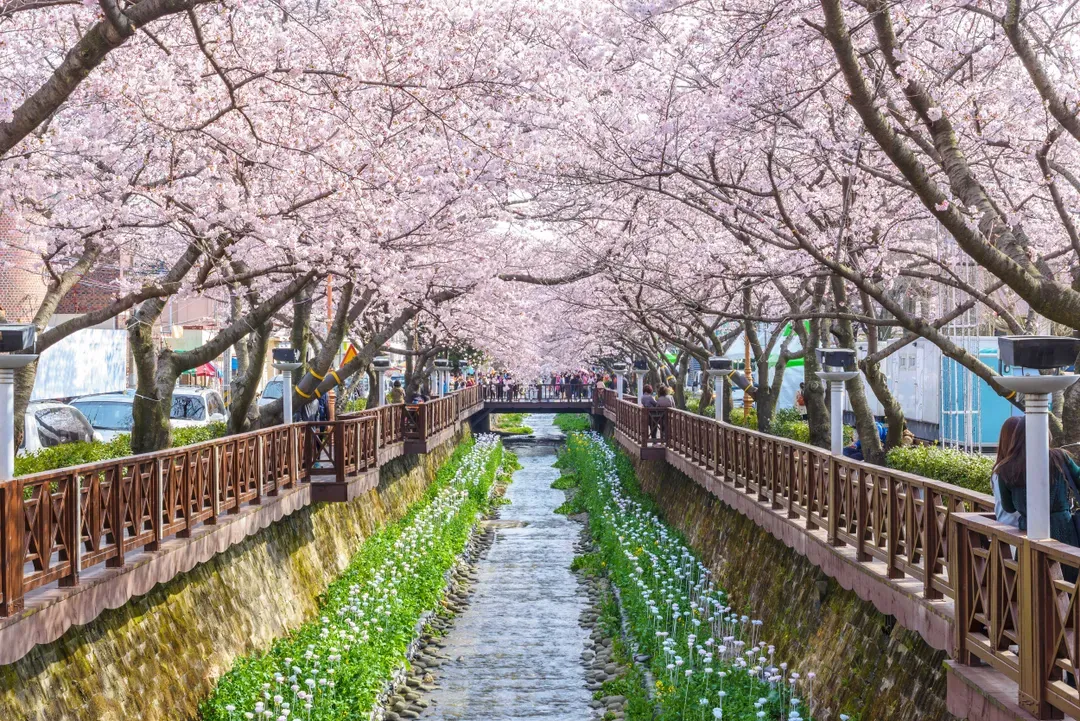 余左川
