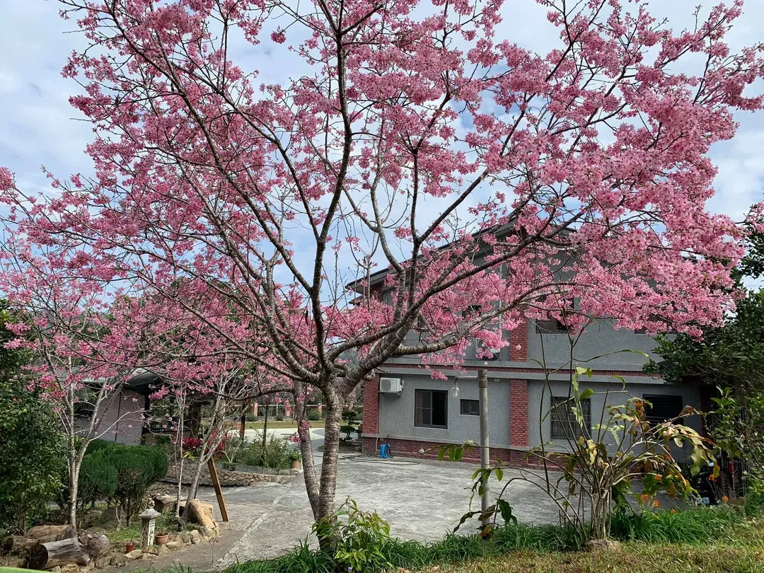 埔里天籁休闲民宿 l 免费早餐