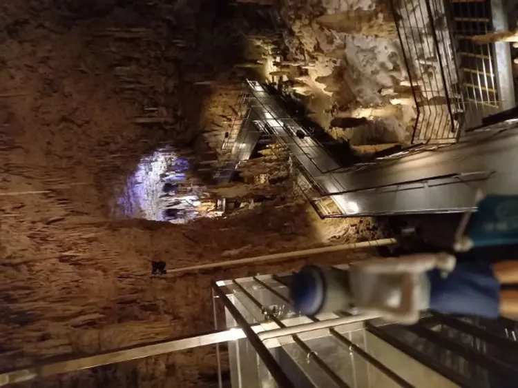 行程簡介-overview